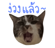 644872336