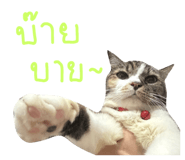 644872337
