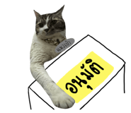 644872339
