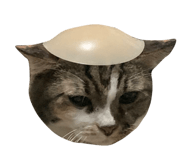 644872344