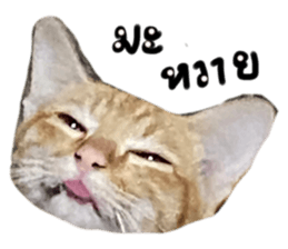 644900534