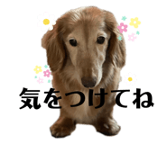644938220