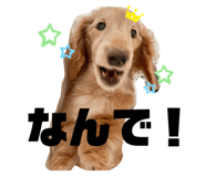 644938236