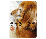 644938244