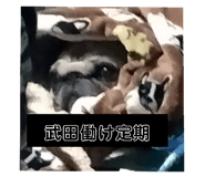 644943889