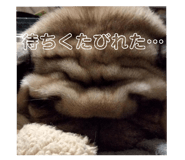 644943892