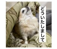 644950342