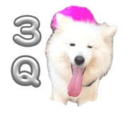 644971711