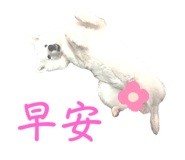 644971712