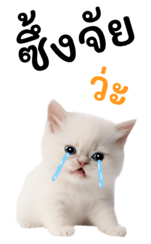 644974328