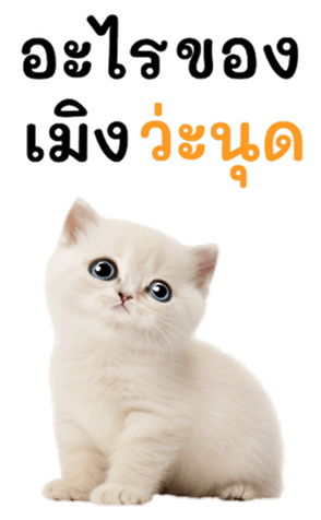644974335