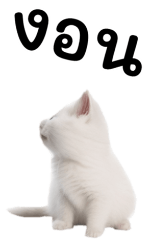644974346