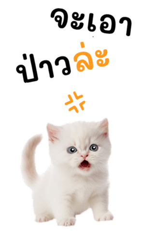 644974347