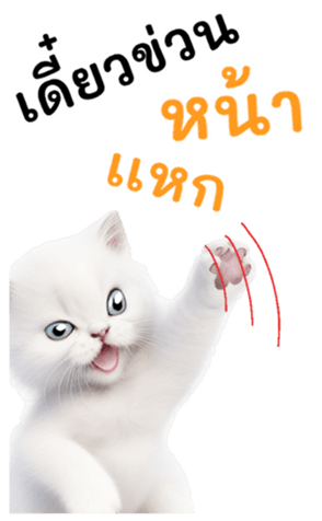 644974349