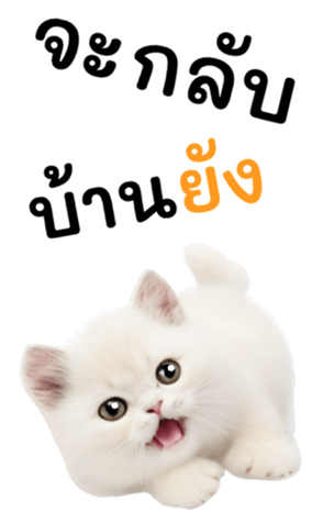 644974354