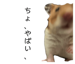 644974362