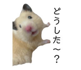 644974366