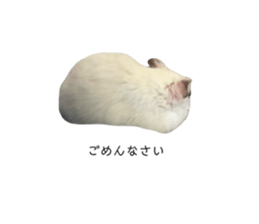 644974372