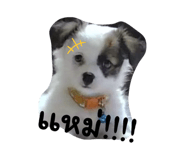 645002196