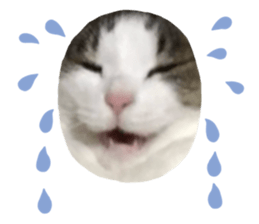 645008656