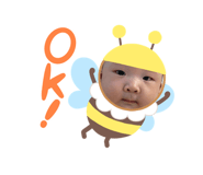645075728