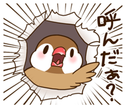64512027