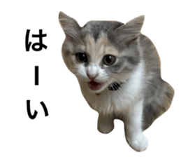 645174552
