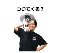 645177632