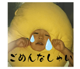 645184852