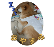 645187591