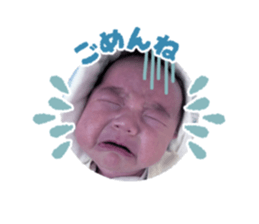 645201185