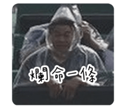 645202185