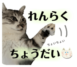 645216382