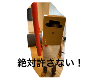 645219498