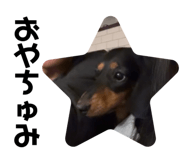 645222677