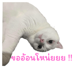 645243403