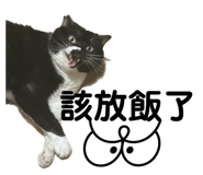 645258192
