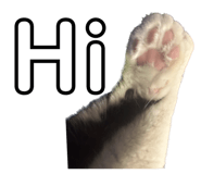 645258196