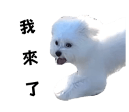645268956