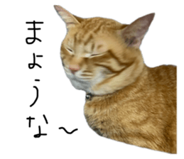 645276915