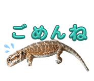 645299305