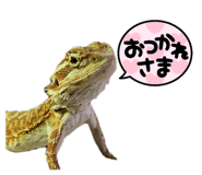 645299308