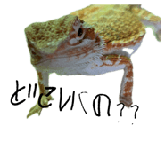 645299317