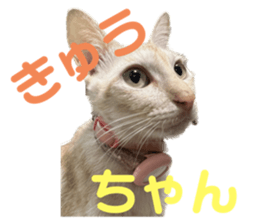 645300010
