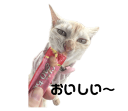645300012