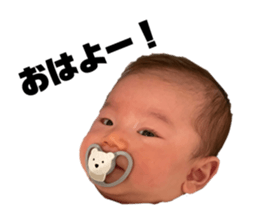 645376790