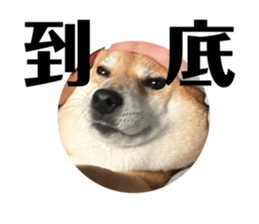 645383050