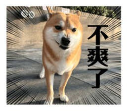645383053