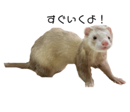 645409790