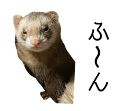 645409800